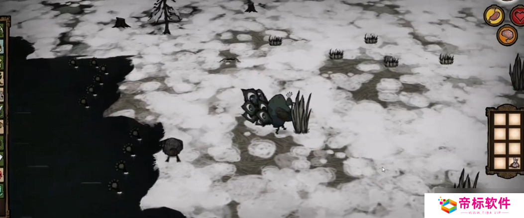 饥荒哈姆雷特里孔雀有什么特性