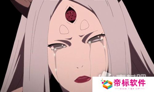 火影忍者辉夜