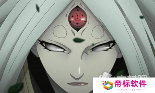 火影忍者辉夜