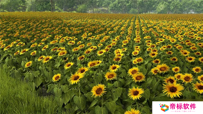 模拟农场25将于11月12日正式发售