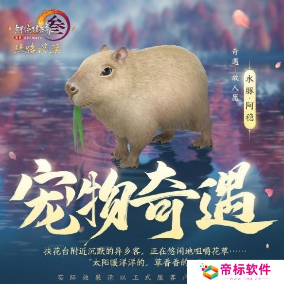 《剑网3》丝路风语新增宠物奇遇 