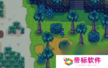 星露谷物语仙人掌有什么用