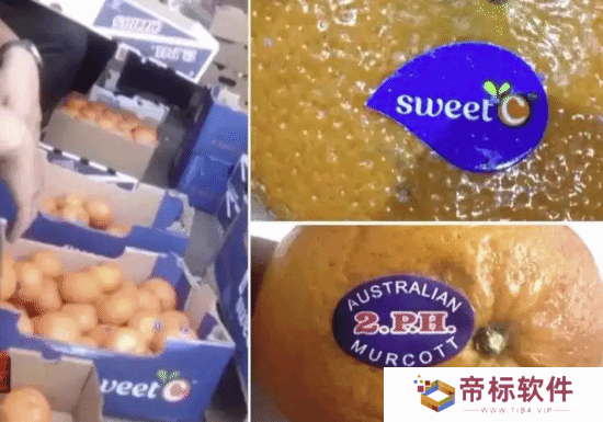 中消协提示国产水果假冒洋水果：那些根本就不让进口